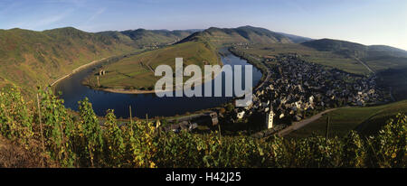 Allemagne, Rhénanie-Palatinat, Bremm, aperçu, Moselle local loop, automne, Europe, vallée de la Moselle, paysage, paysage, rivière, colline de la Moselle, cours d'une rivière, endroit, vignes, vin, vignoble, vignoble, l'agriculture, de la nature Banque D'Images