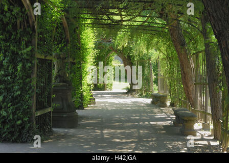 Jardin de la Cour, parc, pergola, bancs, Würzburg, en Basse-franconie (Allemagne), Banque D'Images