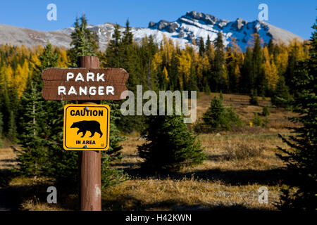 L'Alberta, Mt. Le parc provincial Assiniboine, forêt, danger, danger, ours, paysages, montagnes, montagnes, forêt de conifères, signer, avertissement, tip, signe, désert, tourisme, nature, automne, autumnally la coloration, la solitude, les animaux sauvages, les prédateurs, rencontre, risque, personne, Banque D'Images