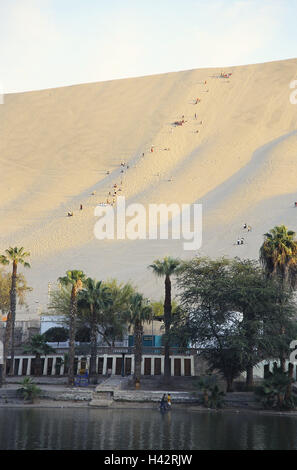 Pérou, Huacachina oasis, dunes de sable, le sable, les surfeurs, l'Amérique du Sud, destination, désert, sable, dunes, les touristes, le tourisme, l'attraction, attraction touristique, personne, de palmiers, de l'eau, Banque D'Images