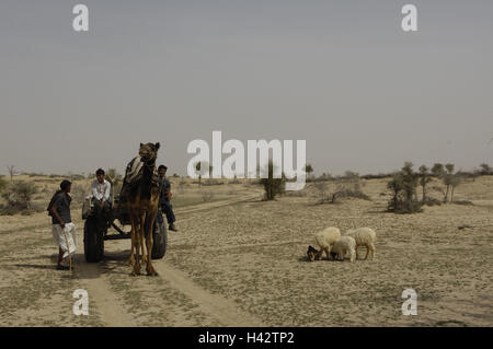 L'Inde, du Rajasthan, Bikaner, paysages, désert, personne, les animaux, le modèle ne libération, Banque D'Images