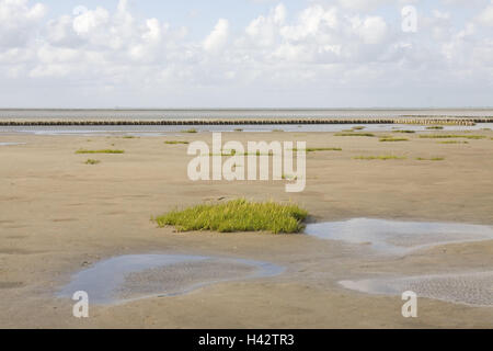 Allemagne, Schleswig - Holstein, Eiderstedt péninsule, Büsum, Stufhusen, watts, l'Allemagne du nord, côte de la mer du Nord, au nord du pays, la côte, Frise, Westerhever-Stufhusen beach, plage de sable fin, la mer du Nord, déserté, largeur, distance, horizon, Banque D'Images