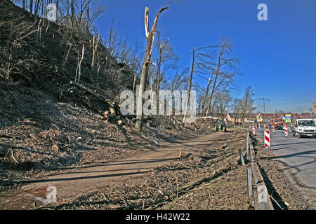 Germany, Bavaria, Landshut, mountain barrack, attaque inflige des dégâts, la compensation fonctionne, la Haute-Bavière, autoroute fédérale, de blocage, d'étouffement de la chaussée, la circulation routière, passage, bois, tracteur, tracteur, de malles, de brindilles, branches,, frais, d'évacuation, éclaircissez, edge la forêt, cyclone, rupture du vent, la destruction, le changement climatique, effet de serre, la météo caprioles, catastrophe, catastrophe naturelle, Banque D'Images