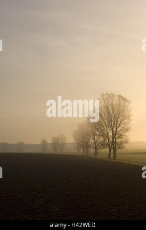 Nature, Paysage, l'agriculture, de l'aulne, noir Banque D'Images