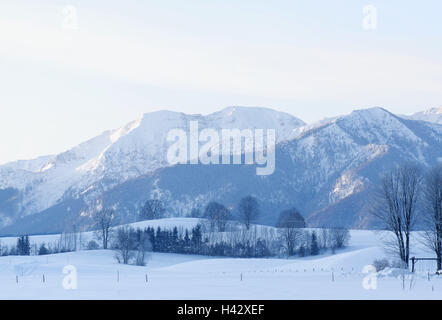 Germany, Bavaria, Fischbachau, brook El, Black Mountain, Durhamer montagne, paysage d'hiver, matin, Haute-Bavière, alp paysage, montagne, montagnes, arbres, neige, hiver, humeur, couleur blanc, bleu, froid, froid, nature, solitude, personne, à l'hiver, hiver, neige, neige, paysage, paysage d'hiver, le silence, les prairies, les pâturages, paysage, saison, matin d'hiver Banque D'Images