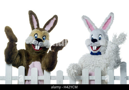 Jardin clôture, lapin de Pâques, la moitié de l'onde, portrait, lièvres, Pâques, fête de Pâques, foi de l'enfant, doublure, panneaux, costumes, costumes du lièvre, humour, fun, drôlement, amical, heureux, si enfantine, d'une clôture en bois, paling, studio, cut out Banque D'Images