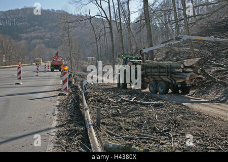 Germany, Bavaria, Landshut, mountain barrack, attaque inflige des dégâts, la compensation fonctionne, la Haute-Bavière, autoroute fédérale, de blocage, d'étouffement de la chaussée, la circulation routière, passage, bois, tracteur, tracteur, remorque, camion, malles, de brindilles, branches,, frais, d'évacuation, éclaircissez, edge la forêt, cyclone, rupture du vent, la destruction, le changement climatique, effet de serre, la météo caprioles, catastrophe, catastrophe naturelle, Banque D'Images