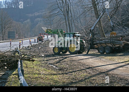 Germany, Bavaria, Landshut, mountain barrack, attaque inflige des dégâts, la compensation fonctionne, la Haute-Bavière, autoroute fédérale, de blocage, d'étouffement de la chaussée, en bordure de canal, bois, tracteur, tracteur, remorque, de malles, de brindilles, branches,, frais, d'évacuation, éclaircissez, edge la forêt, cyclone, rupture du vent, la destruction, le changement climatique, effet de serre, la météo caprioles, catastrophe, catastrophe naturelle, Banque D'Images