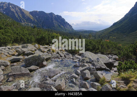 Ruisseau de montagne Hincov polok, vue sur la vallée, parc national de Strbske Pleso, les Hautes Tatras, Presovsky kraj, Slovaquie, Banque D'Images