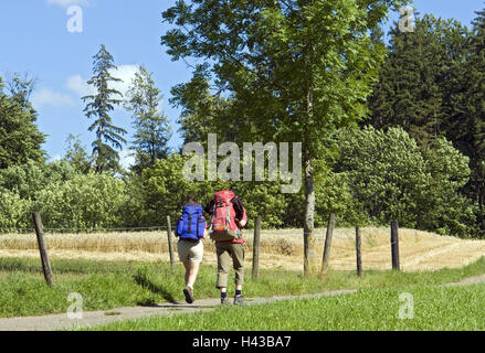 Allemagne, Bade-Wurtemberg, meadow pâte, marge nord way, Wanderer, vue de dos, sentier lointain, edge la forêt, chemin de campagne, personne, couple, sacs à dos, rendez-vous, le mouvement, marche, randonnée, loisirs, vacances, Activités, loisirs, nature, été, Banque D'Images