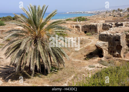 Chypre, Côte est, Kato Paphos, tombeaux du roi, Banque D'Images