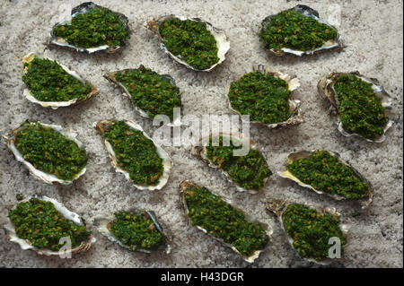 Les huîtres épicés (Ostreidae) à la Fondation Rockefeller aux épinards sur le gros sel, Côte Atlantique, France Banque D'Images