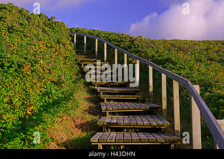 Promenade jusqu'à la plage à travers les dunes de sable, Sylt Rantum, au nord de l'archipel Frison, Frise du Nord, Schleswig-Holstein, Allemagne Banque D'Images