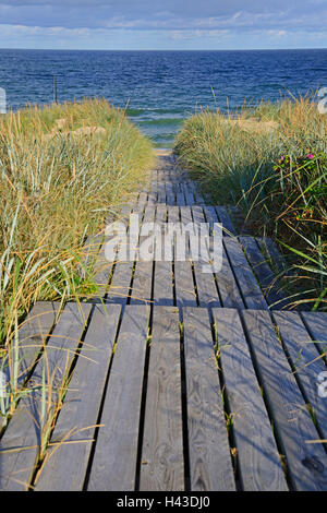 Promenade à la plage, les dunes de sable, Sylt Rantum, au nord de l'archipel Frison, Frise du Nord, Schleswig-Holstein, Allemagne Banque D'Images