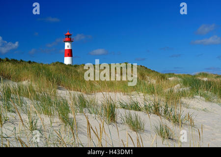 Phare Ouest liste dans les dunes de sable, Liste, Sylt, au nord de l'archipel Frison, Frise du Nord, Schleswig-Holstein, Allemagne Banque D'Images