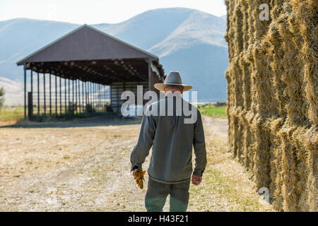 Caucasian farmer autour de piles de foin Banque D'Images