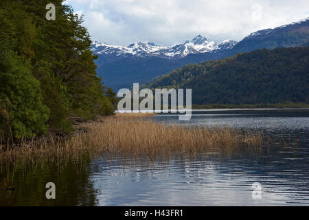 Laguna de las Torres sur la Carretera Austral dans la région d'Aysen du sud du Chili. Banque D'Images