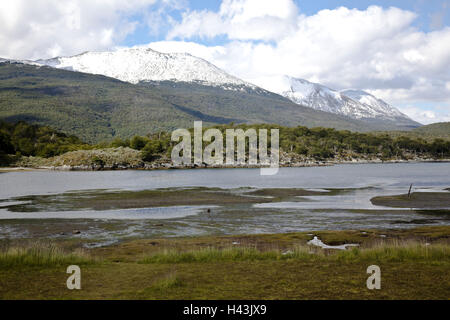 L'Argentine, Parque Nacional de Tierra del Fuego, paysage, rivière, montagne Banque D'Images