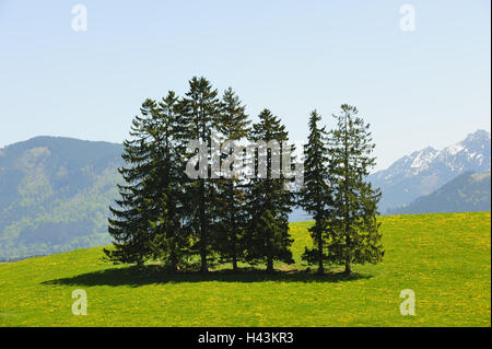 L'Allemagne, en Bavière, à l'Est de l'Allgäu, décor avec pieds, Banque D'Images