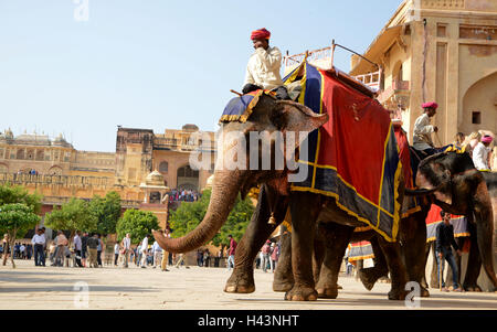 Mahout équitation éléphant à Fort Amber Banque D'Images