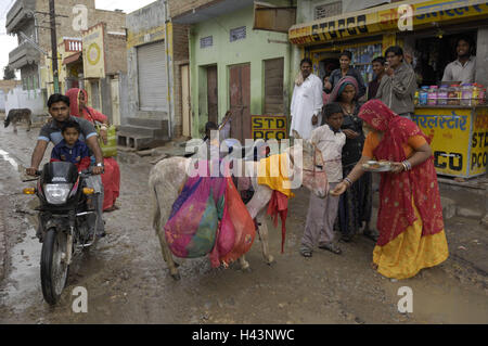 L'Inde, du Rajasthan, Bikaner, personne, scène de rue, le modèle ne libération, Banque D'Images