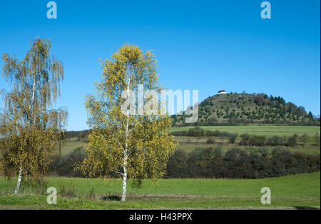 Allemagne, Bade-Wurtemberg, Burladingen - pour les choses de saumon, saumon, Kornbühl's things the nightmare, souabe, Baden-Wurttemberg, arbre, montagne, bouleau, Burladingen, Allemagne, automne, bande, Kornbühl, hilltop cauchemar, paysages, pour les choses de saumon, du saumon Banque D'Images