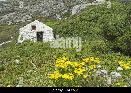 L'Irlande, Munster, Péninsule de Beara, country house, old, cottage, prés, fleurs, Silence, repos, Idyll, à distance, chambre, petite chambre, déserte, la végétation, les plantes, Banque D'Images