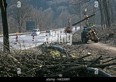 Germany, Bavaria, Landshut, mountain barrack, attaque inflige des dégâts, la compensation fonctionne, la Haute-Bavière, autoroute fédérale, de blocage, d'étouffement de la chaussée, la circulation routière, passage, bois, tracteur, tracteur, remorque, camion, malles, de brindilles, branches,, frais, d'évacuation, éclaircissez, edge la forêt, cyclone, rupture du vent, la destruction, le changement climatique, effet de serre, la météo caprioles, catastrophe, catastrophe naturelle, Banque D'Images