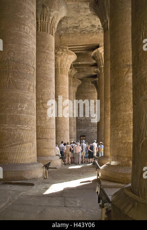 L'Egypte, Edfou, Temple d'Horus, portique, touristiques, de la Haute Égypte, Idfu, art, culture, destination, Voyage, tourisme culturel, archéologie, architecture, antiquité, historiquement, point d'intérêt, temple plante, alto-égyptiennes, murs, piliers, reliefs, hiéroglyphes, histoire, patrimoine culturel mondial de l'UNESCO, personne, Banque D'Images