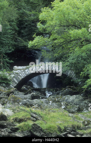 Grande Bretagne, Ecosse, Glen Lyon, pont de pierre, Cascade, forêt Brook, l'été, Banque D'Images