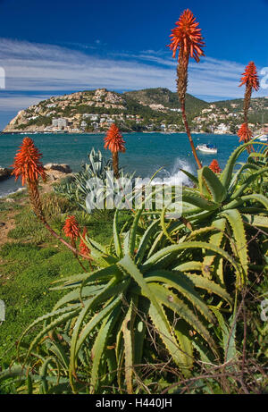 Espagne, Majorque, Port d'Andratx, Badia de Andratx, côte, Banque D'Images