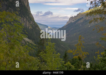 Bielovodská vallée, vue ligne Lysá Pol'ana, Lysá Pol'ana, le parc national des Hautes Tatras, Presovsky kraj, Slovaquie, Banque D'Images