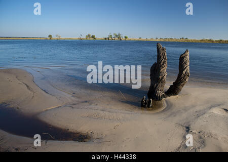 L'Afrique, Botswana, District du nord-ouest, le parc national de Chobe, rivière Chobe, port, d'une ligne, Banque D'Images