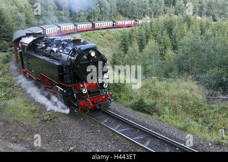 Train, locomotive à vapeur de riz, 99222, Fabrication de l'année en 1931, les voyages en train, à travers les résineux et trajectoire trajectoire forfaitaire, bois, (USA) vallée, paysage, Banque D'Images