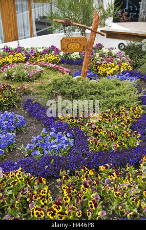 L'Argentine, Terre de Feu, Usuhuaia, jardin, parterre de fleurs, Banque D'Images