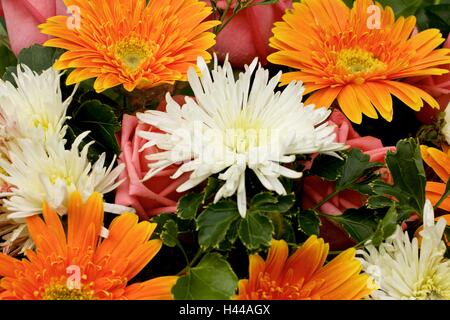 Gerbera Orange chrysanthème blanc et rose fleur roses mélangées Banque D'Images