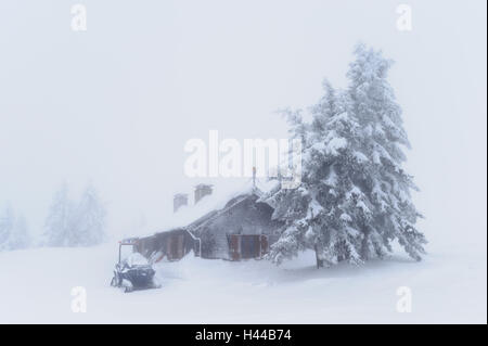 Allemagne, Bade-Wurtemberg, au sud de la Forêt Noire, Feldberg (montagne), hut, service de sauvetage en montagne, la neige, Banque D'Images