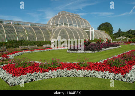 La Palm House, Jardins botaniques royaux de Kew, Londres, Angleterre Banque D'Images