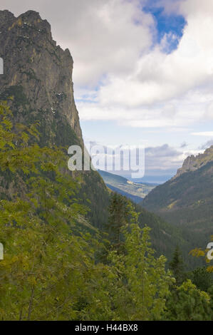 Bielovodská vallée, vue ligne Lysá Pol'ana, Lysá Pol'ana, le parc national des Hautes Tatras, Presovsky kraj, Slovaquie, Banque D'Images