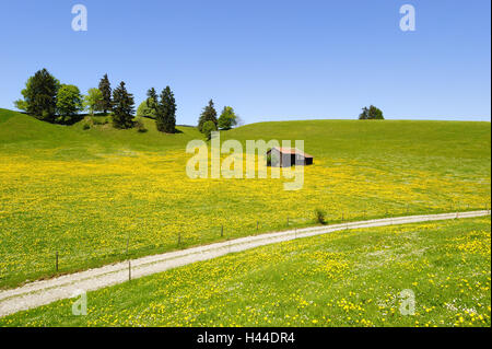 L'Allemagne, en Bavière, à l'Est de l'Allgäu, décor avec pieds, Banque D'Images