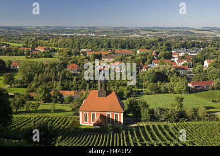 Allemagne, Saxe, Dresde, la vigne dans l'église, Pillnitz Banque D'Images