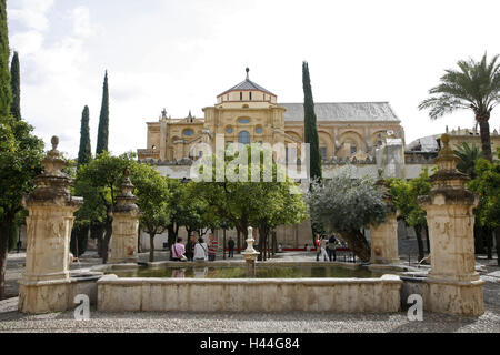 Espagne, Andalousie, Cordoue, la Mezquita, cathédrale, cour intérieure, puits, d'orangers, ville, centre-ville, église, cathédrale, maurisch, comme d'un Chrétien, les touristes, du tourisme, de la personne, de la structure, l'architecture, le lieu de destination, d'intérêt, tourisme, Banque D'Images