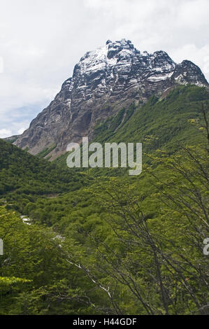 L'Argentine, Terre de Feu, Usuhuaia Andes, chaîne de montagne, 'montagne', Olivia Banque D'Images