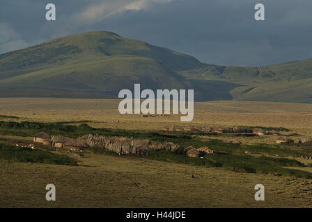 L'Afrique, Tanzanie, Ngorongoro, highland village Massai, Boma Banque D'Images