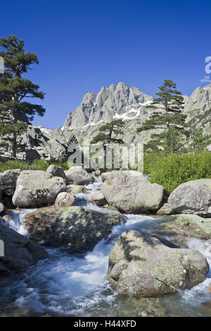 France, Corse, Haute Corse, Lombarduccio, Gorges de la Restonica, Banque D'Images