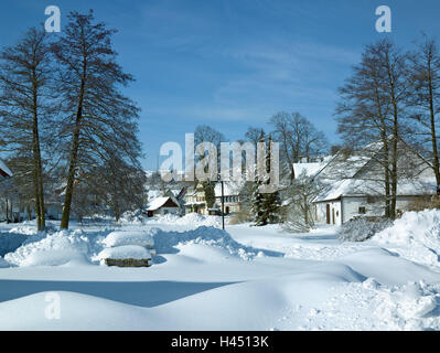 Allemagne, Bade-Wurtemberg, Roman's stone-Zainingen, hiver, arbre, aulne, maisons, Roman's stone, Zainingen, neige, neige, vue locale, paysages d'hiver, Banque D'Images