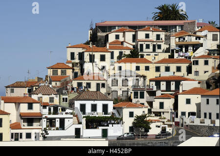 Le Portugal, l'île de Madère, Camara de Lobos, port, maisons d'habitation, Banque D'Images