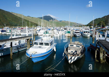 Bateaux amarrés dans la marina, Havelock, Pelorous Sound, Marlborough Sounds, île du Sud, Nouvelle-Zélande Banque D'Images