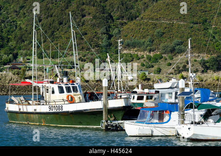 Bateaux amarrés dans la marina, Havelock, Pelorous Sound, Marlborough Sounds, île du Sud, Nouvelle-Zélande Banque D'Images