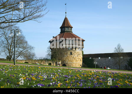 Allemagne, Bade-Wurtemberg, Esslingen, château, meadow, crocus, fleur, printemps, tour, fleurs, crocus, fleur flower meadow, de couleurs vives, les gens, les touristes, printemps, Banque D'Images